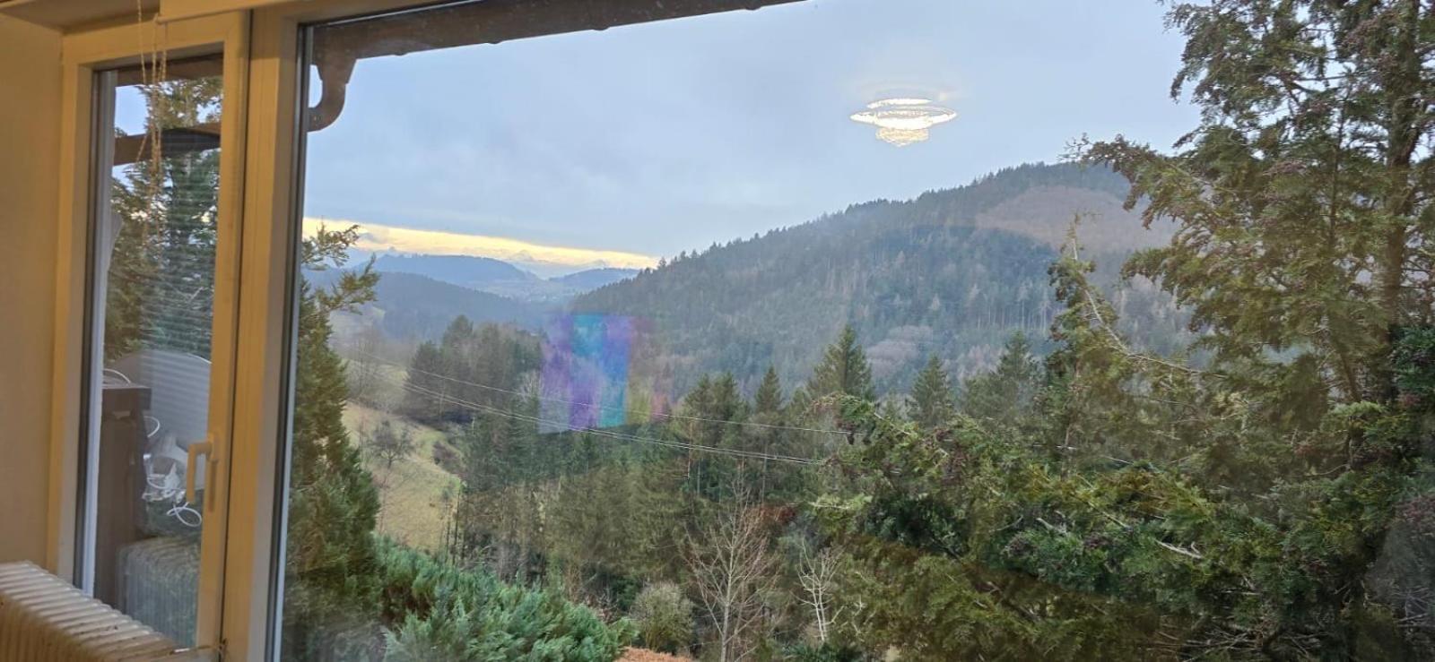 Wohnung Im Schwarzwald Mit Panorama Blick Kleines Wiesental Exteriér fotografie